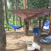 Review photo of Canyon Campground — Yellowstone National Park by Brooke C., May 31, 2018