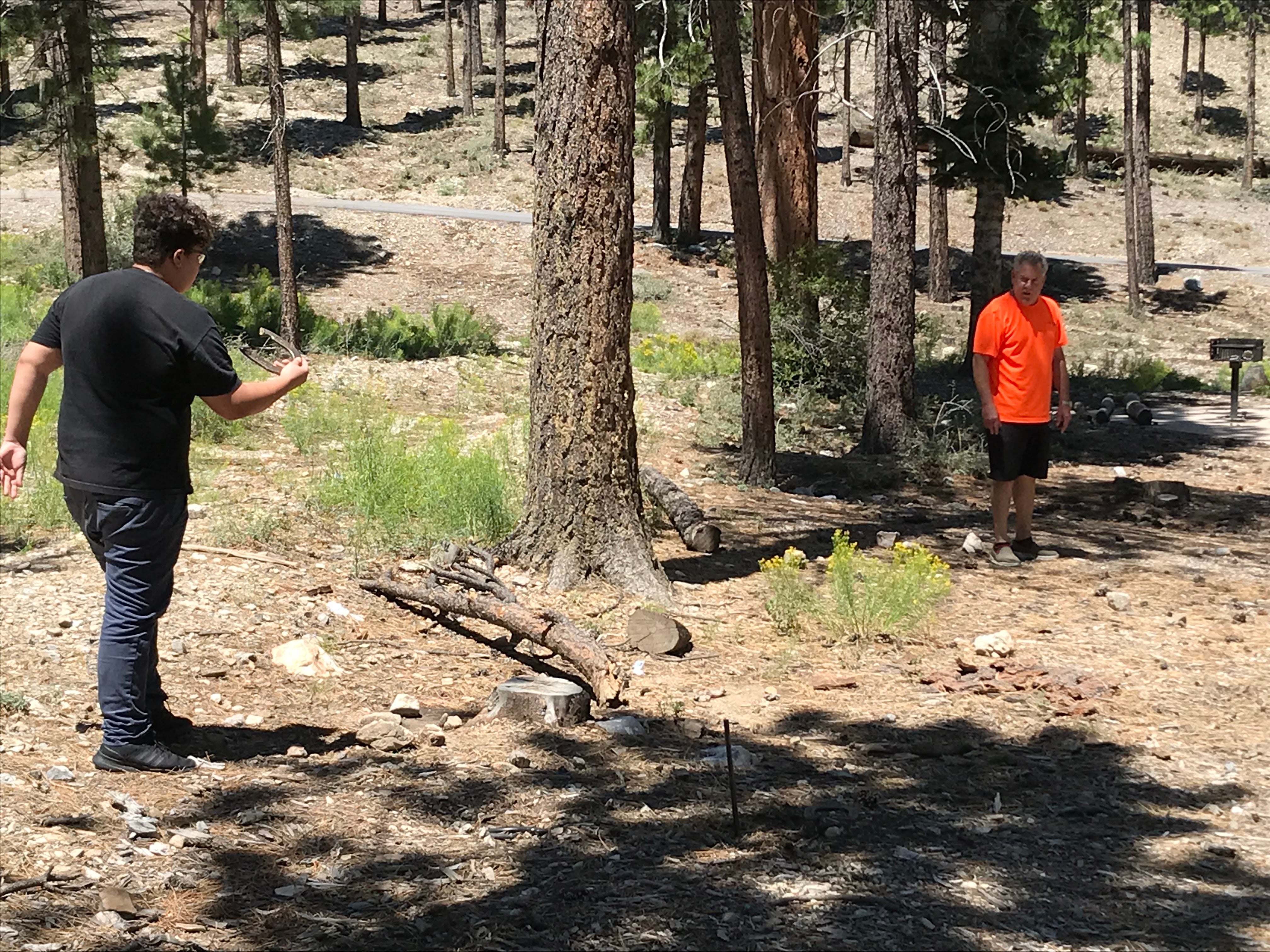 Camper submitted image from Toiyabe National Forest Old Mill Campground - 2