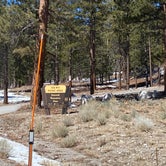 Review photo of Toiyabe National Forest Old Mill Campground by Brittney  C., March 28, 2021