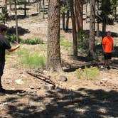 Review photo of Toiyabe National Forest Old Mill Campground by Brittney  C., March 28, 2021