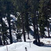 Review photo of Toiyabe National Forest McWilliams Campground by Brittney  C., March 28, 2021