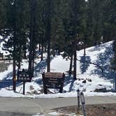 Review photo of Toiyabe National Forest McWilliams Campground by Brittney  C., March 28, 2021