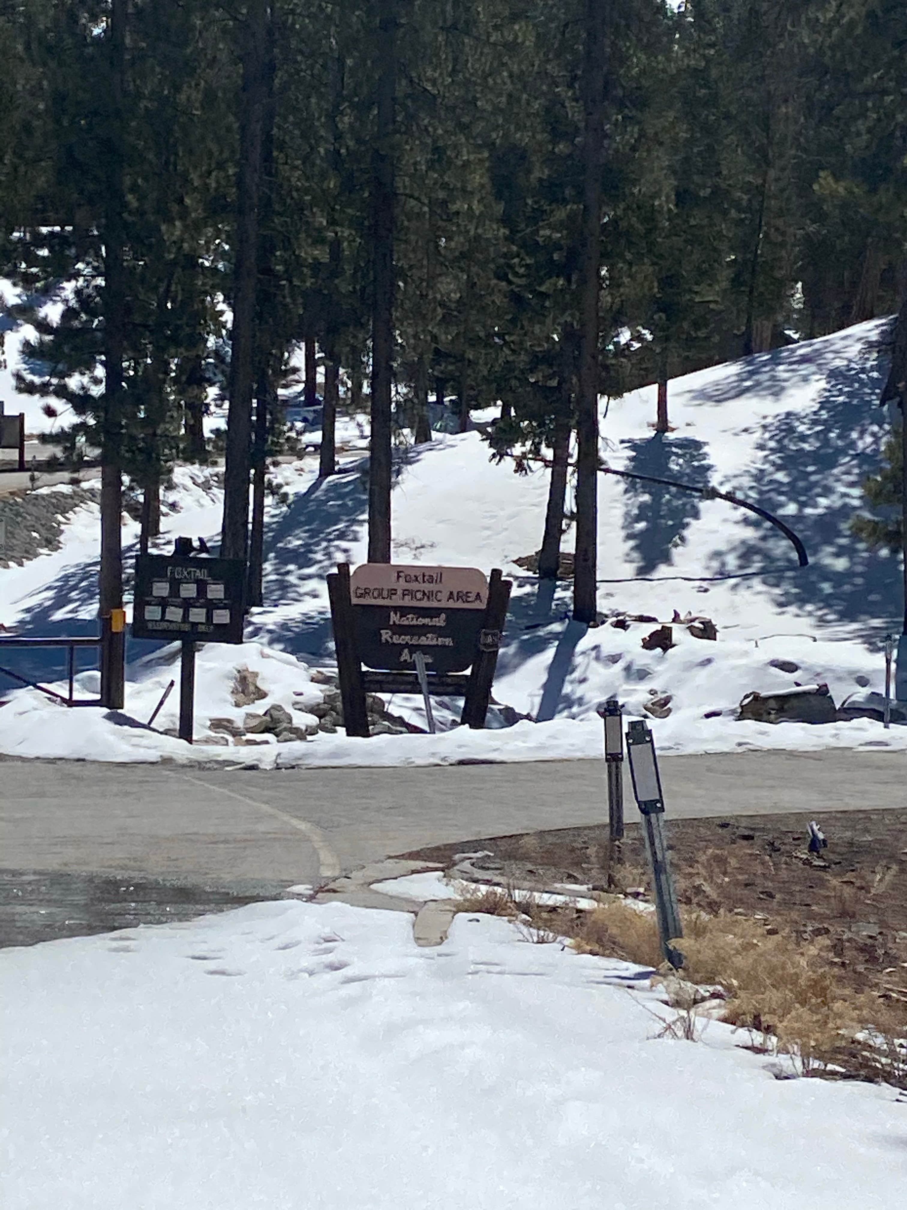 Camper submitted image from Toiyabe National Forest McWilliams Campground - 4