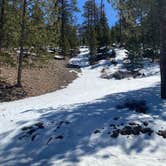 Review photo of Toiyabe National Forest McWilliams Campground by Brittney  C., March 28, 2021
