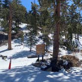 Review photo of Toiyabe National Forest McWilliams Campground by Brittney  C., March 28, 2021