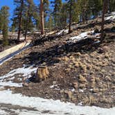 Review photo of Toiyabe National Forest McWilliams Campground by Brittney  C., March 28, 2021