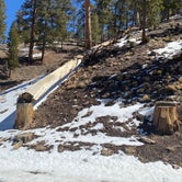 Review photo of Toiyabe National Forest McWilliams Campground by Brittney  C., March 28, 2021