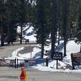 Review photo of Toiyabe National Forest McWilliams Campground by Brittney  C., March 28, 2021