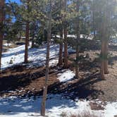 Review photo of Toiyabe National Forest McWilliams Campground by Brittney  C., March 28, 2021