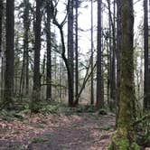 Review photo of Seaquest State Park Campground by Bill T., March 28, 2021