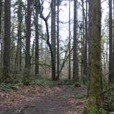 Review photo of Seaquest State Park Campground by Bill T., March 28, 2021