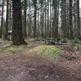 Review photo of Seaquest State Park Campground by Bill T., March 28, 2021