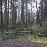 Review photo of Seaquest State Park Campground by Bill T., March 28, 2021