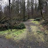 Review photo of Seaquest State Park Campground by Bill T., March 28, 2021