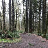 Review photo of Seaquest State Park Campground by Bill T., March 28, 2021