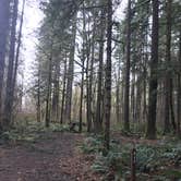 Review photo of Seaquest State Park Campground by Bill T., March 28, 2021