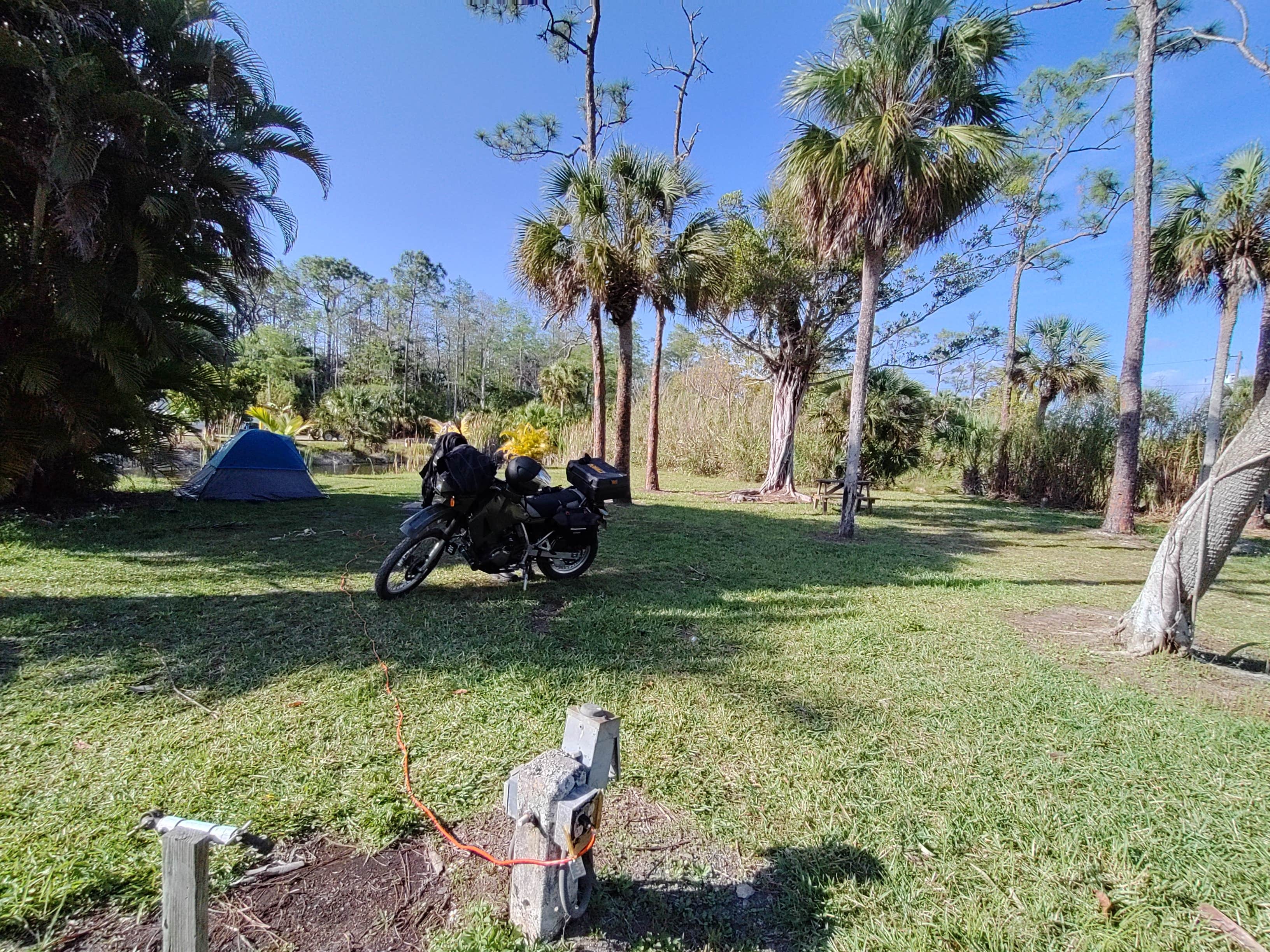 Tania L.'s photo at Trail Lakes Campground near Big Cypress National Preserve