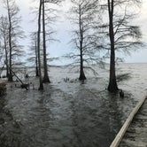 Review photo of Pettigrew State Park Campground by Justin C., March 29, 2021