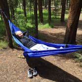 Review photo of Canyon Campground — Yellowstone National Park by Brooke C., May 31, 2018