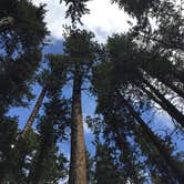 Review photo of Canyon Campground — Yellowstone National Park by Brooke C., May 31, 2018