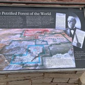 Review photo of Petrified Forest National Wilderness Area — Petrified Forest National Park by Jeff N., March 29, 2021