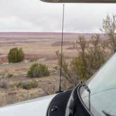 Review photo of Petrified Forest National Wilderness Area — Petrified Forest National Park by Jeff N., March 29, 2021