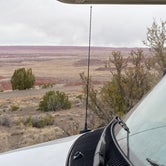 Review photo of Petrified Forest National Wilderness Area — Petrified Forest National Park by Jeff N., March 29, 2021