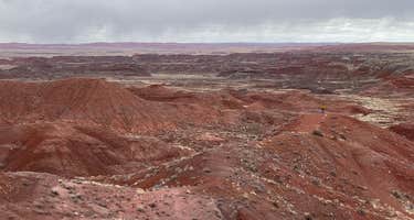 Petrified Forest National Park Dispersed Camping