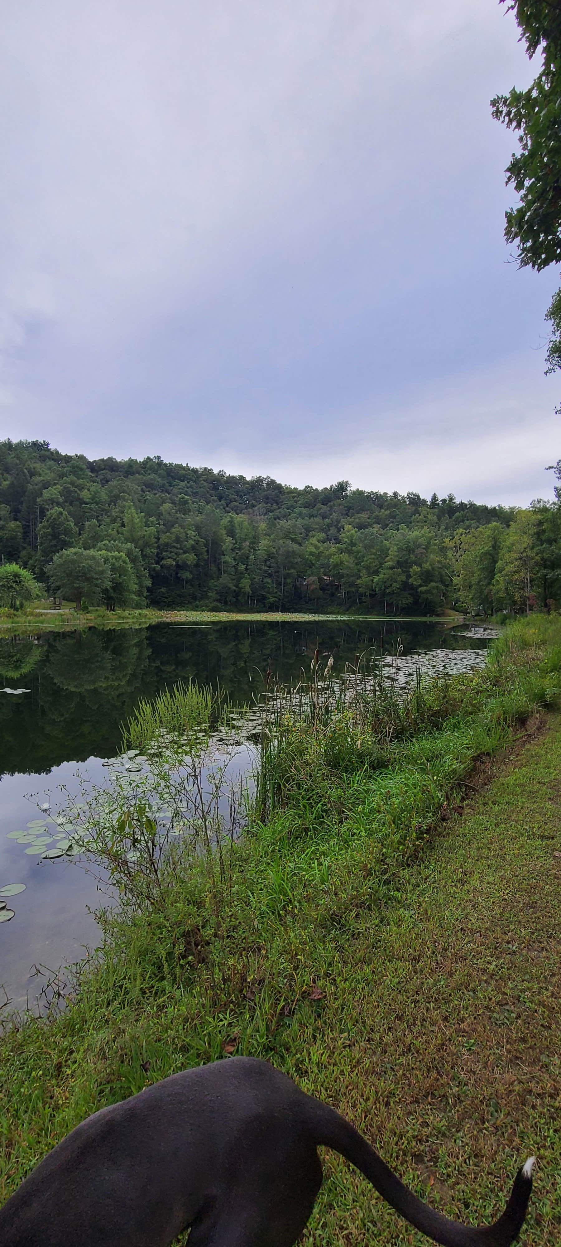 Camper submitted image from Starlite Trailer Lodge - 2