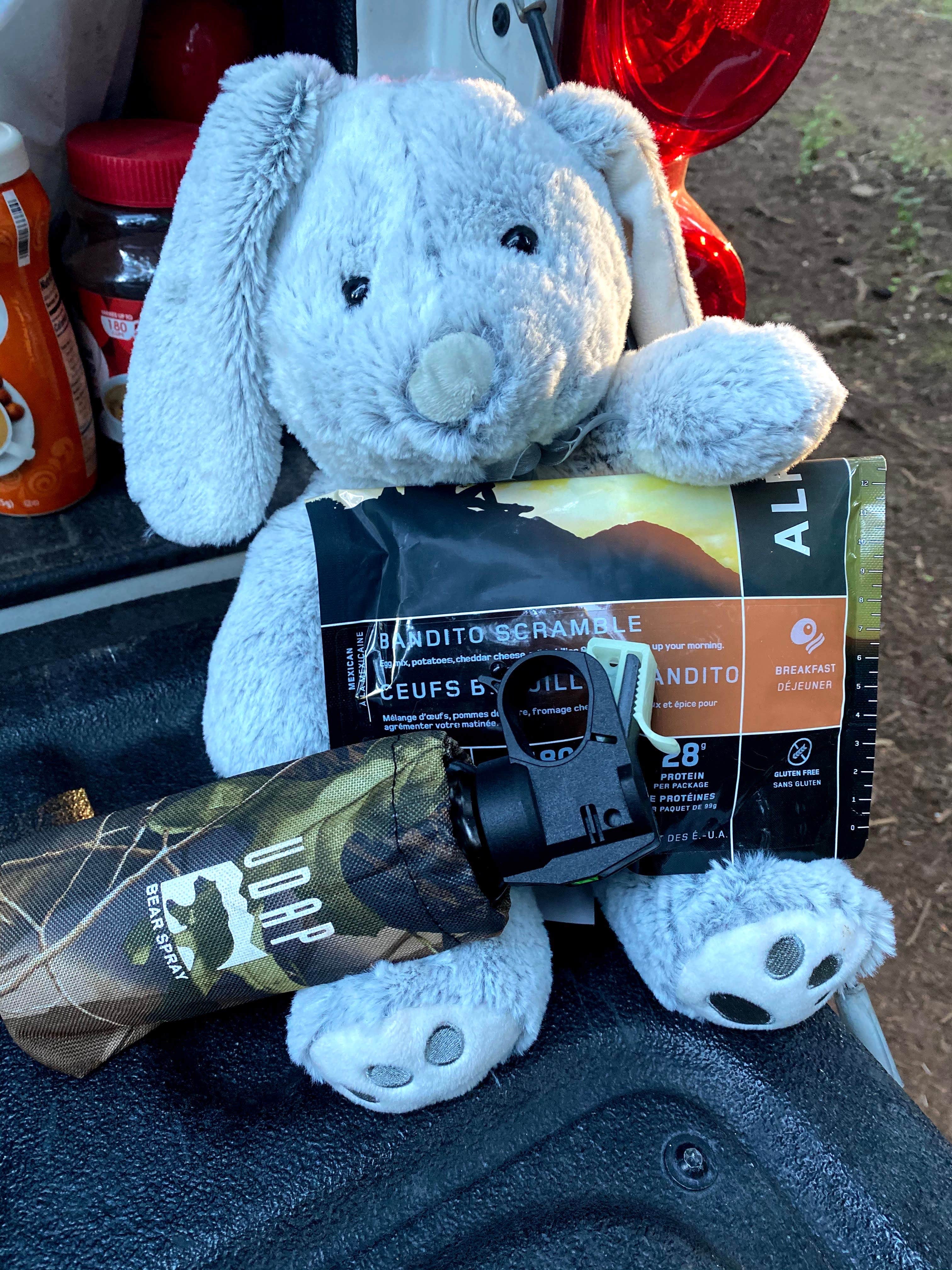 Camper-submitted photo at Gabaldon near Springerville, AZ