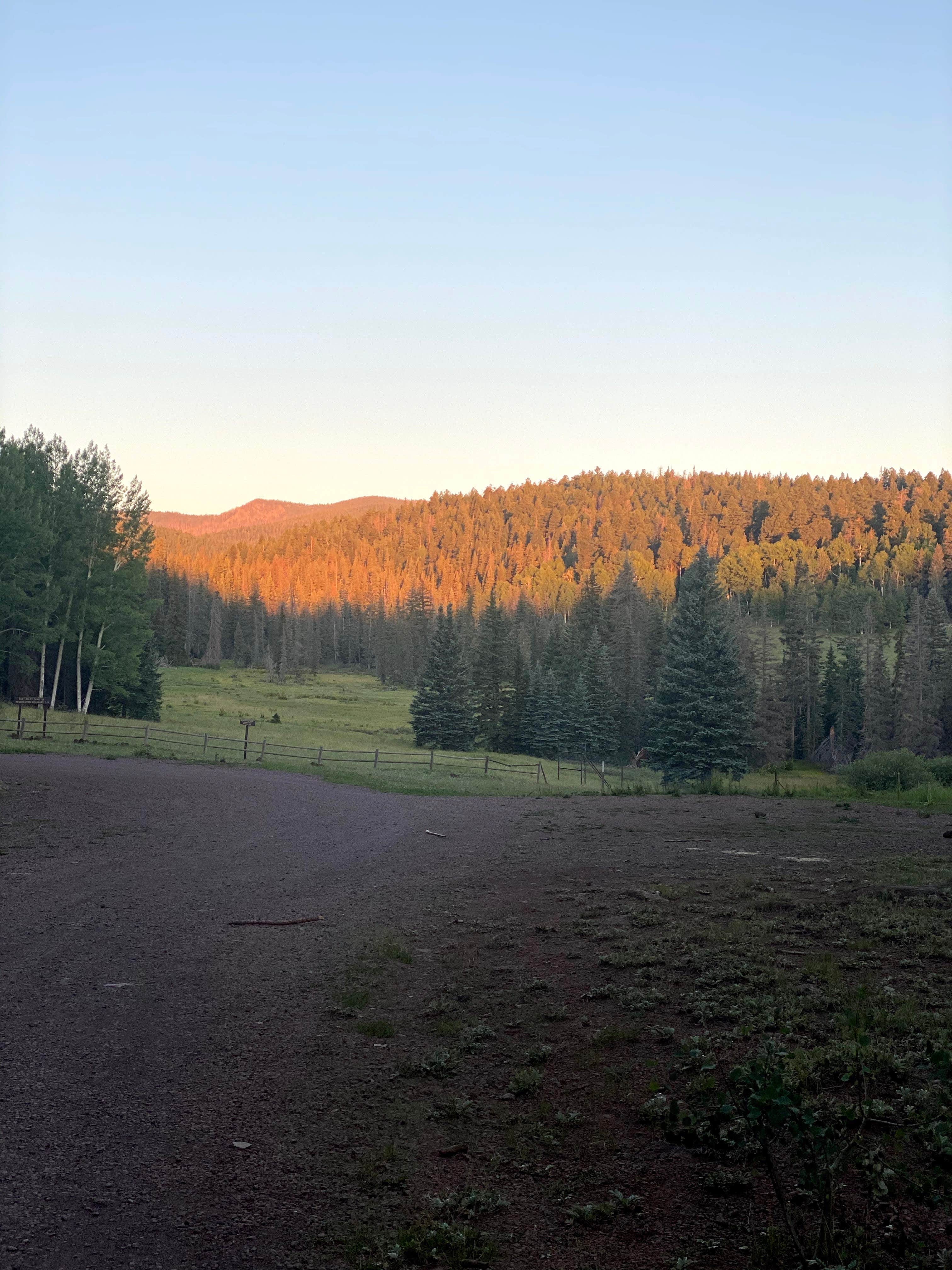 Camper-submitted photo at Gabaldon near Greer, AZ