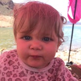 Review photo of Kingman Wash — Lake Mead National Recreation Area by Brittney  C., October 2, 2020
