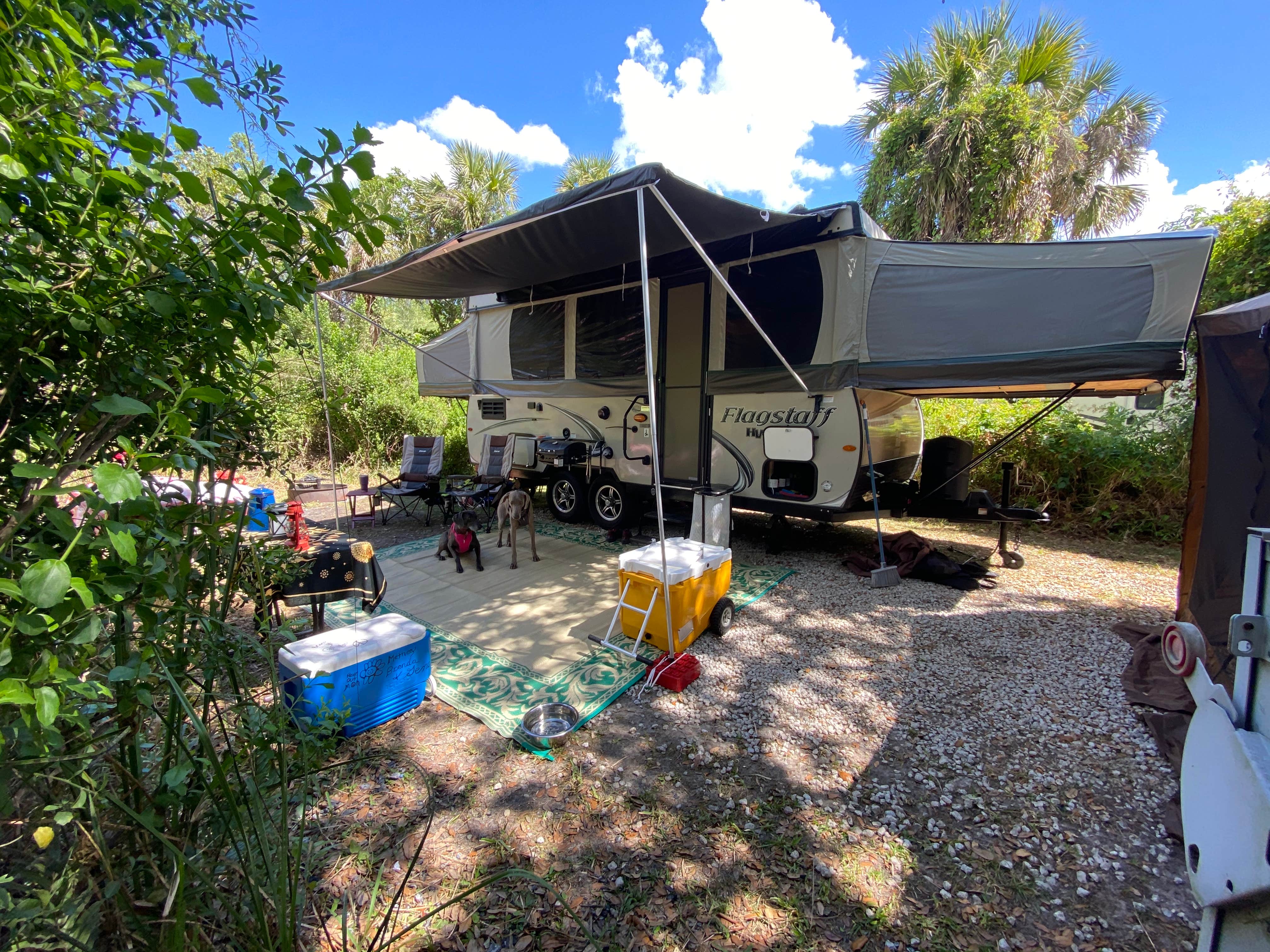 Brenda Lee M.'s photo at Collier–Seminole State Park Campground near Goodland, FL