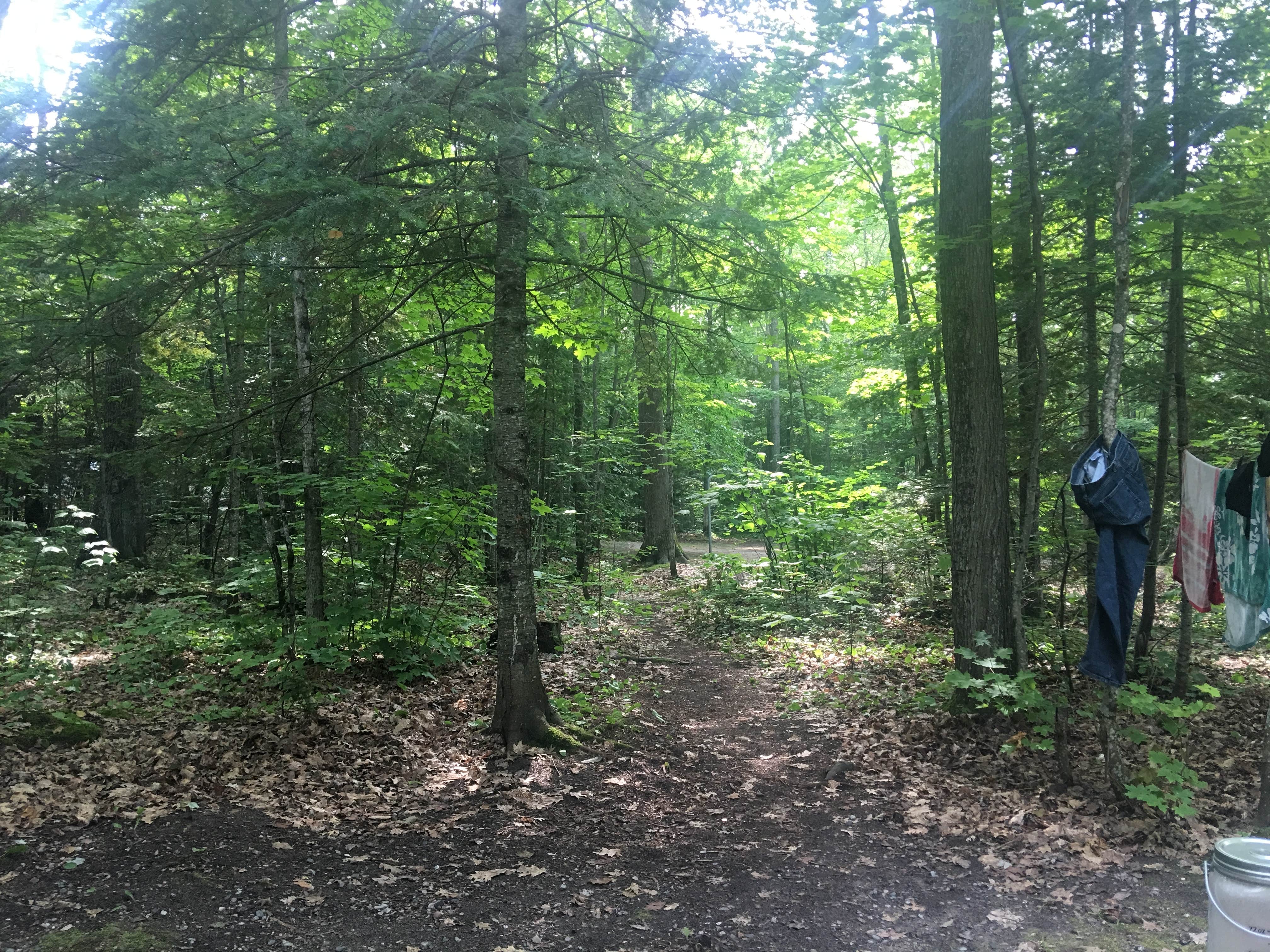 Camper-submitted photo at Monocle Lake near Eckerman, MI