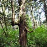 Review photo of Battle Ground Lake State Park Campground by Corinna B., September 24, 2016