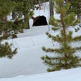 Review photo of Deer Creek Campground — Golden Gate Canyon by Kell H., March 29, 2021