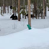 Review photo of Deer Creek Campground — Golden Gate Canyon by Kell H., March 29, 2021