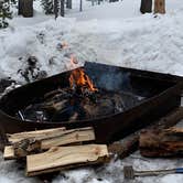 Review photo of Deer Creek Campground — Golden Gate Canyon by Kell H., March 29, 2021