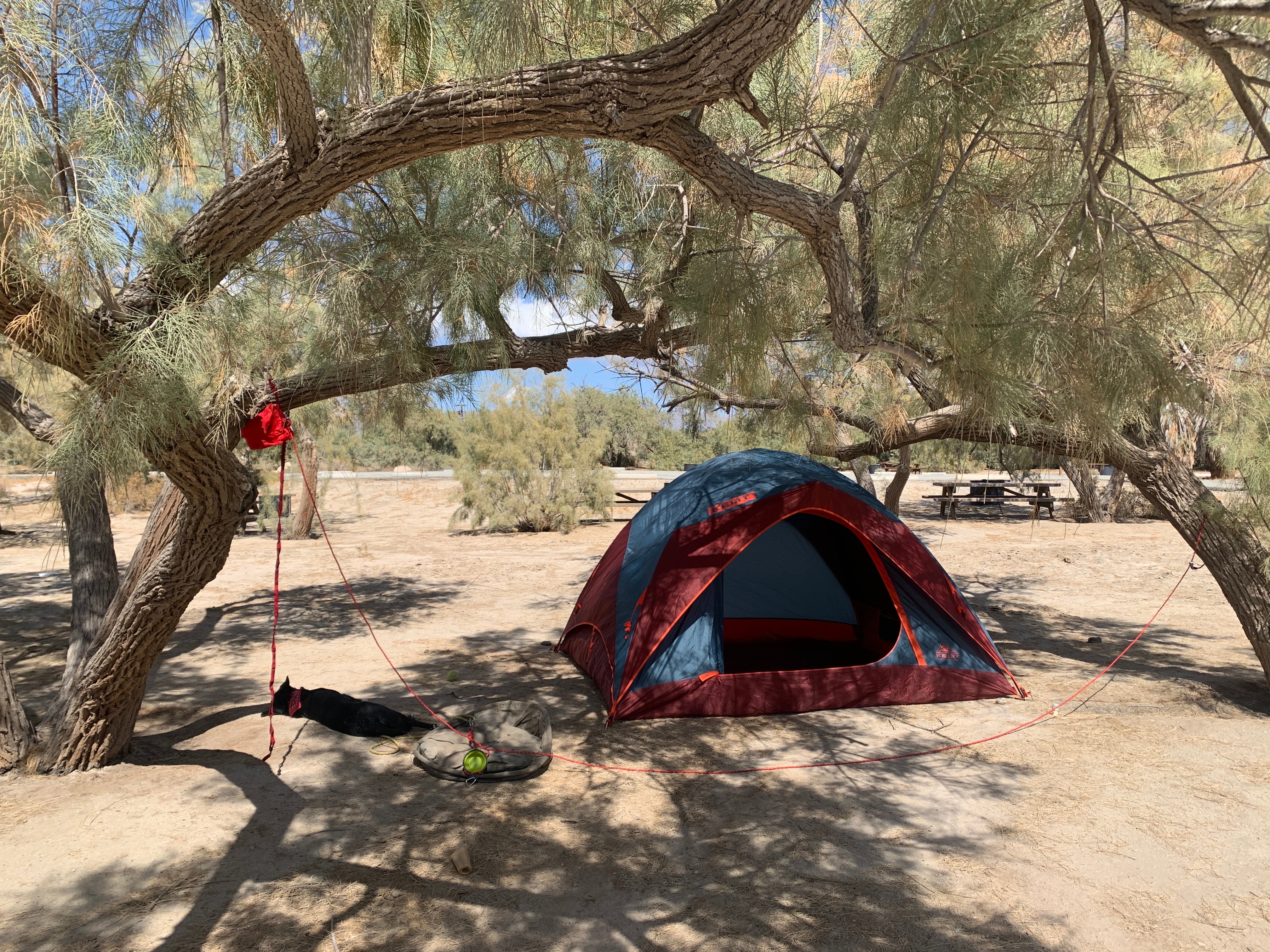 Camper submitted image from Mecca Beach Campground — Salton Sea State Recreation Area - 1