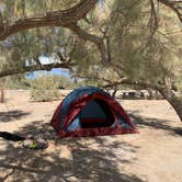 Review photo of Mecca Beach Campground — Salton Sea State Recreation Area by Venice  G., March 29, 2021