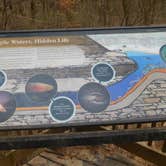 Review photo of Mammoth Cave Campground — Mammoth Cave National Park by Debra M., March 29, 2021