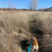 Review photo of San Diego County Lake Morena County Park by Jessica M., March 29, 2021