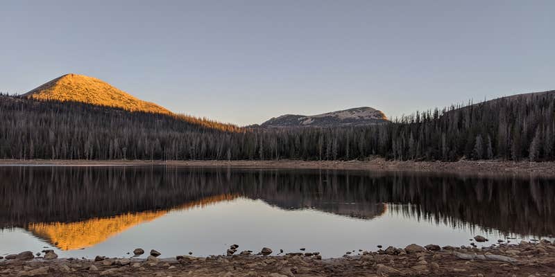 Camper submitted image from Trial Lake Campground