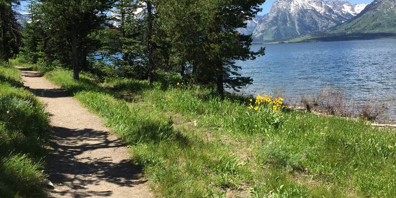 Camper submitted image from Colter Bay Tent Village at Colter Bay Village — Grand Teton National Park