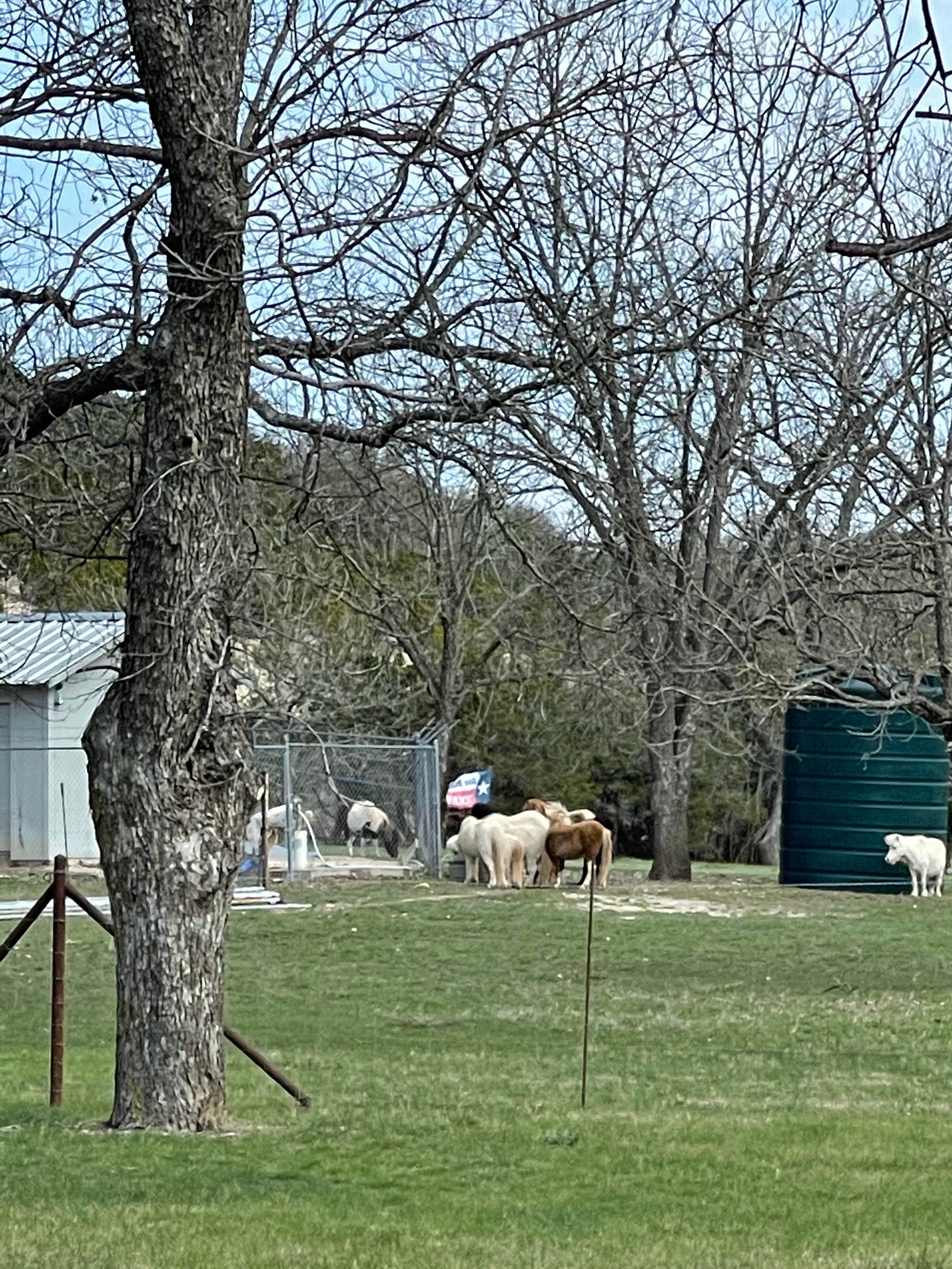 Camper-submitted photo at Johnson Creek RV Resort & Park near Junction, TX