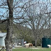 Review photo of Johnson Creek RV Resort & Park by OurEpicFieldTrip  ., March 29, 2021
