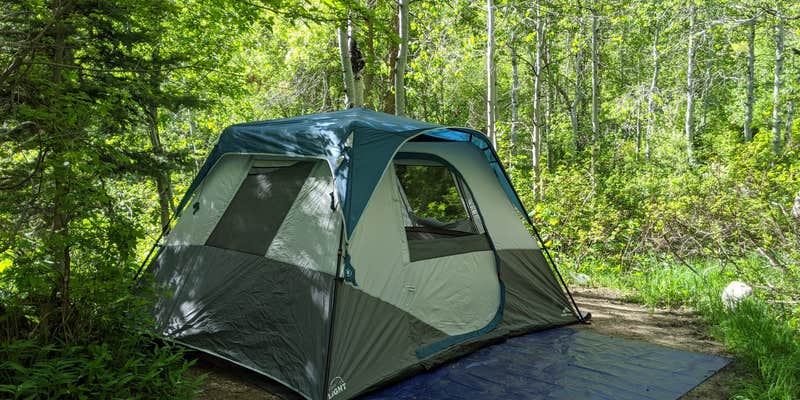 Camper submitted image from Tanners Flat