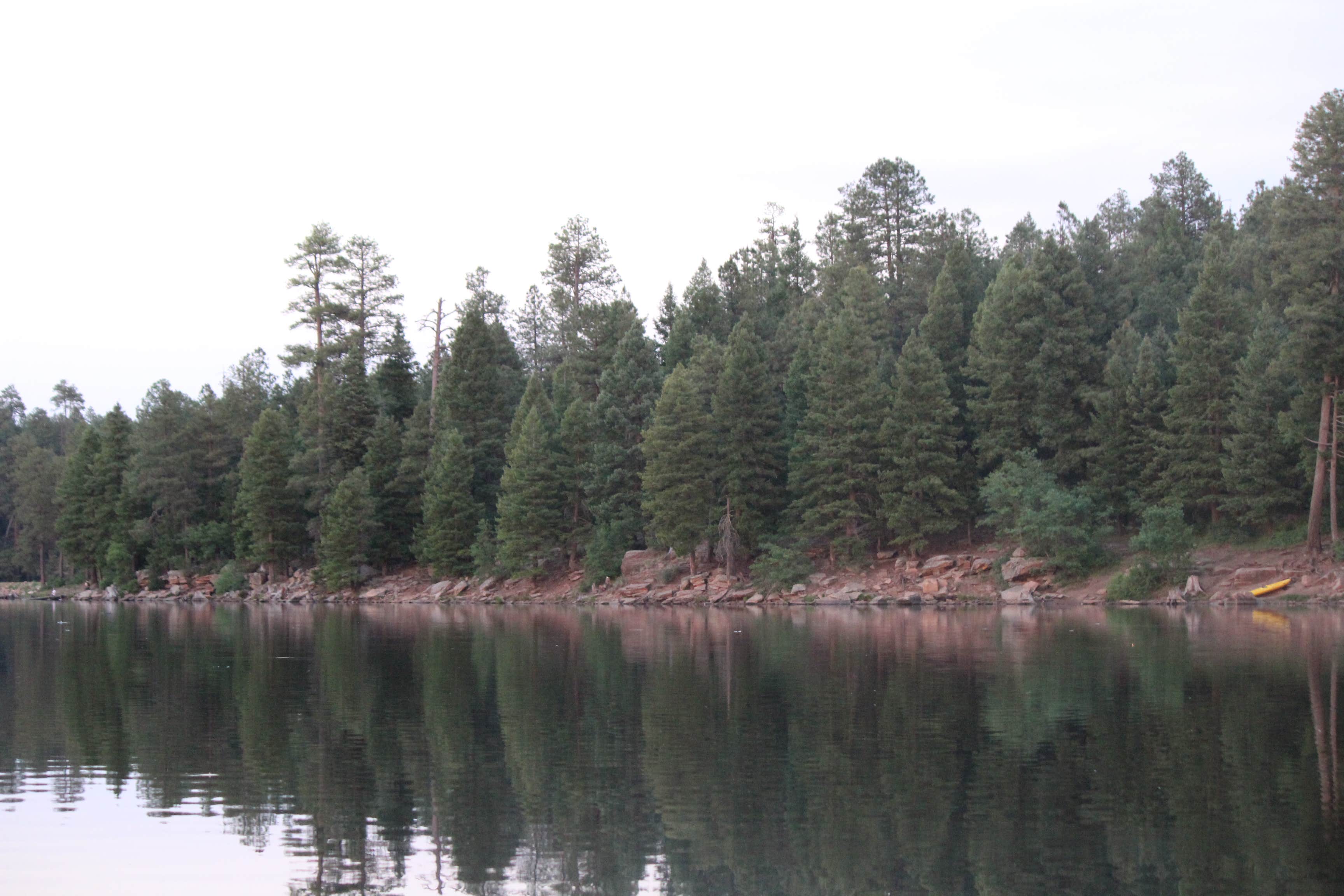 Camper submitted image from Aspen Campground - 2