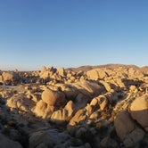 Review photo of White Tank Campground — Joshua Tree National Park by Tucker B., March 29, 2021