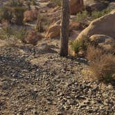 Review photo of White Tank Campground — Joshua Tree National Park by Tucker B., March 29, 2021